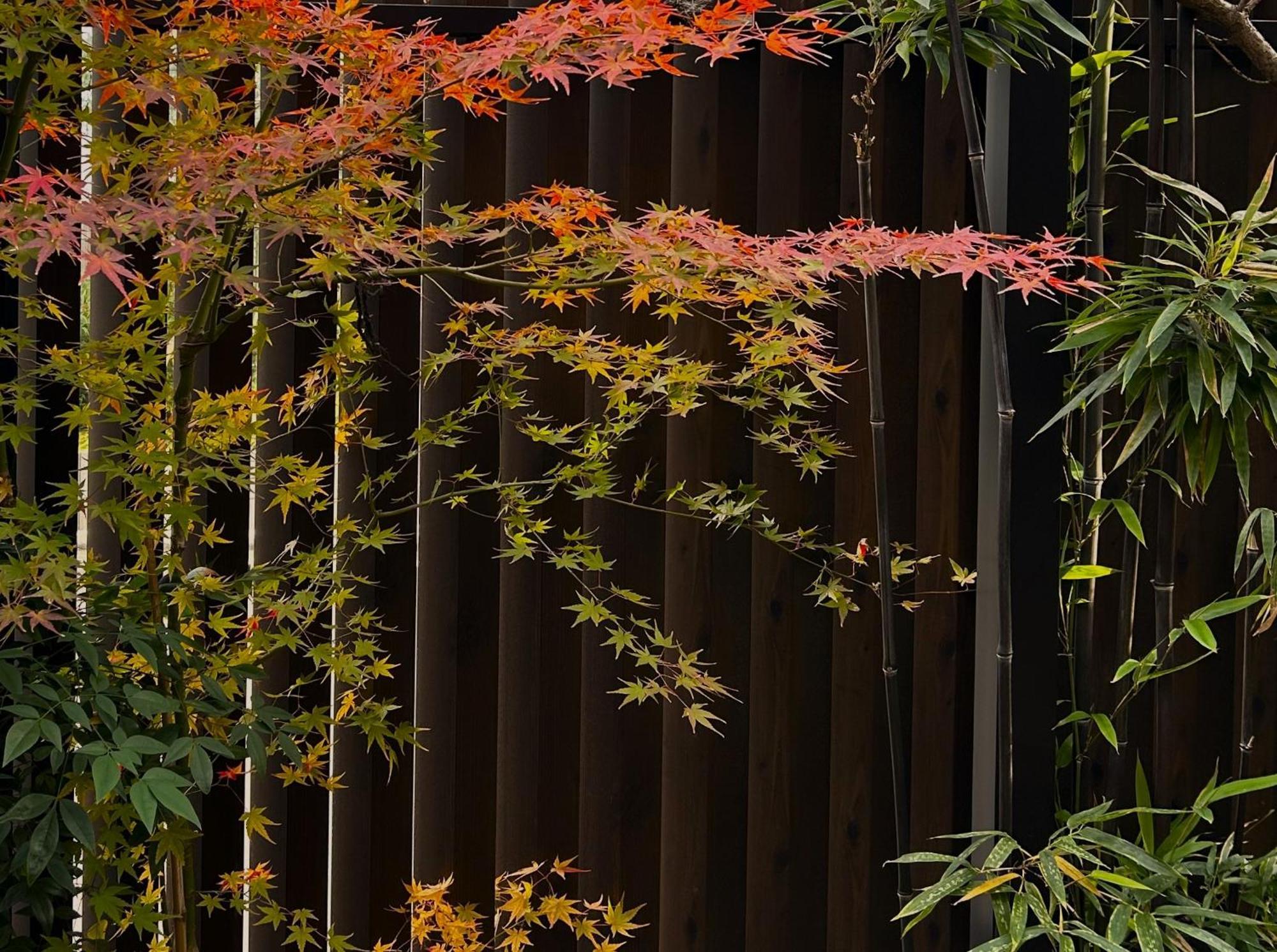 Guest House Oumi Kyoto Dış mekan fotoğraf