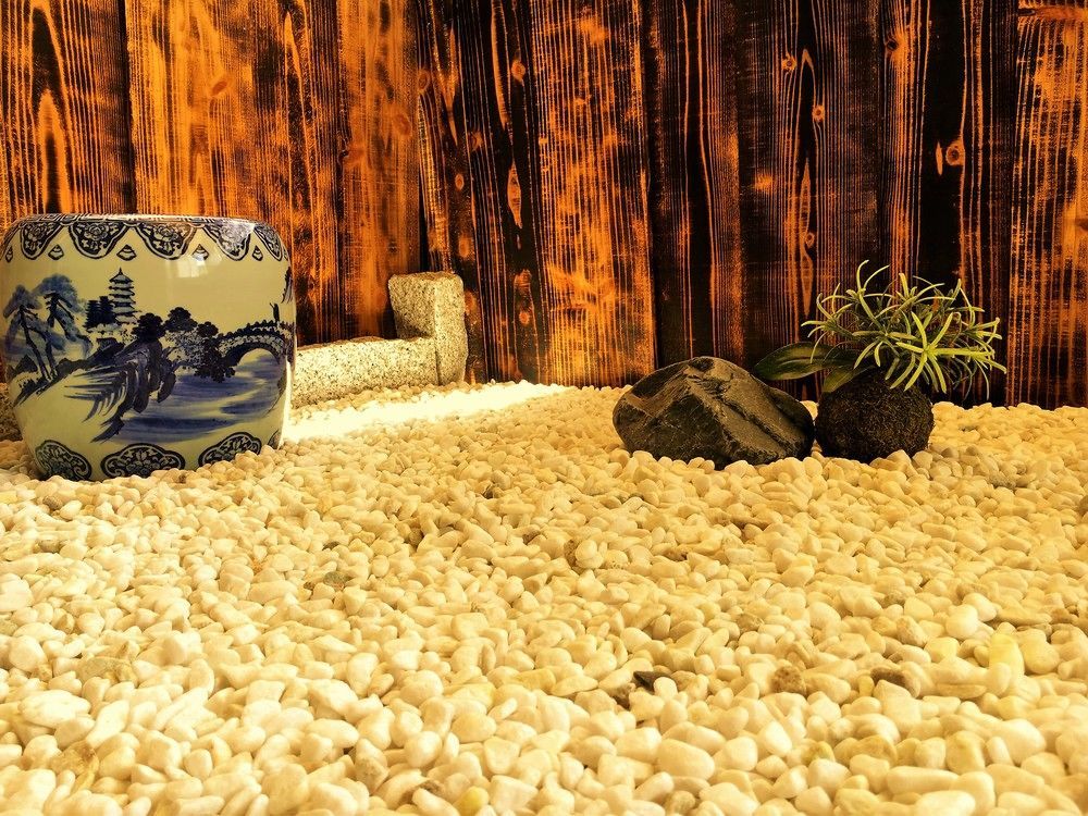 Guest House Oumi Kyoto Dış mekan fotoğraf